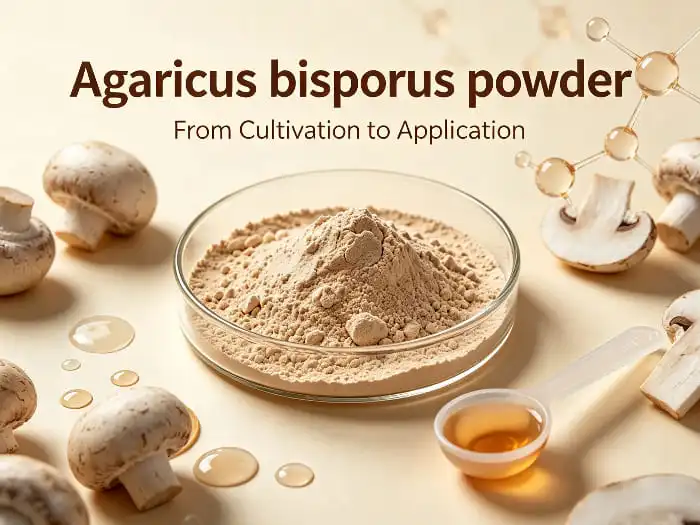 A Deep Dive into the Bioactive Compounds of Agaricus Bisporus Powder